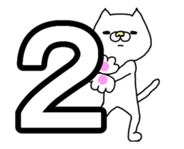 25236237