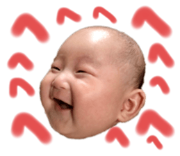 252362733
