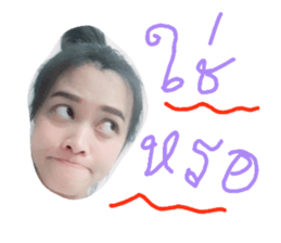 25236602