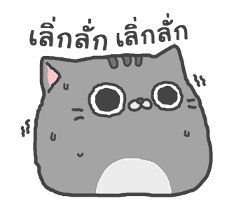 แมวสลิด ดุ๊กดิ๊ก รูปที่ 11