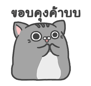 แมวสลิด ดุ๊กดิ๊ก รูปที่ 16