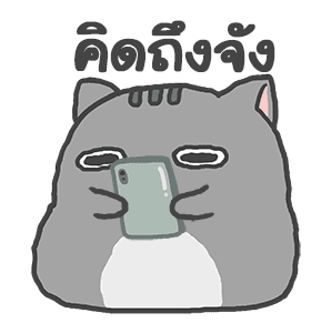 แมวสลิด ดุ๊กดิ๊ก รูปที่ 17