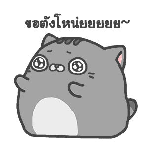 แมวสลิด ดุ๊กดิ๊ก รูปที่ 18