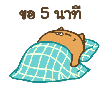 แมวสลิด ดุ๊กดิ๊ก รูปที่ 21