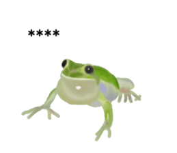252386515