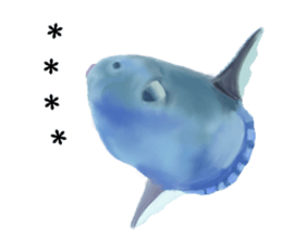 252386519