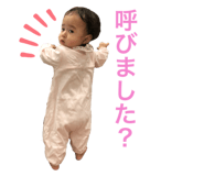 252424399