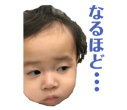 252424408