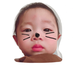 252438283