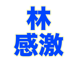 252441751