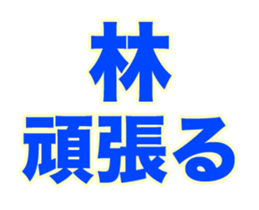 252441756