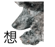 252450652