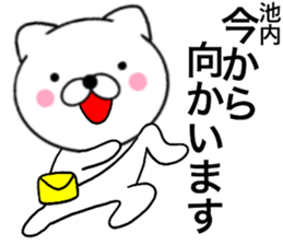 25246080
