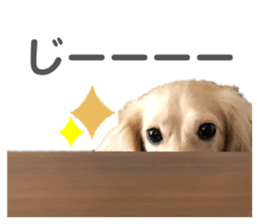 252465774