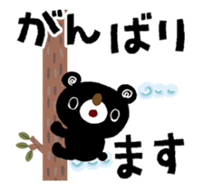 252476670