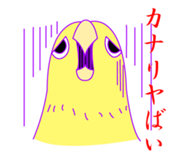 252533