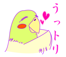 252539