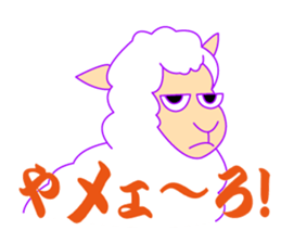 252546