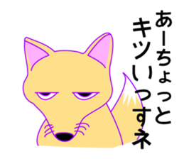 252549