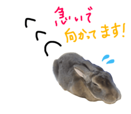 25260126