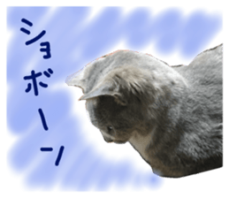25260148