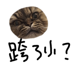 252615456