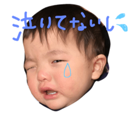 25264202