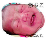 25265284