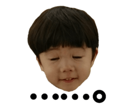 25267636