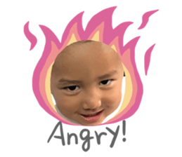 252727668