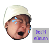 252743530