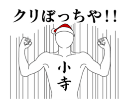 25277854