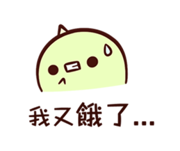 25278490
