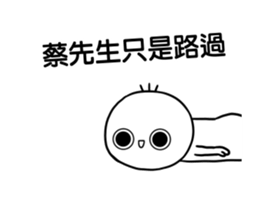 252796638