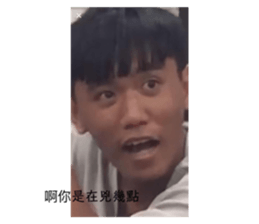 252804895