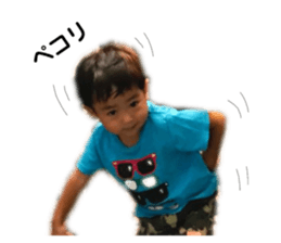 252811290
