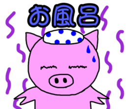 252813868