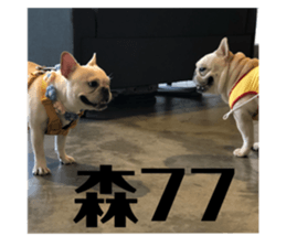 252826128