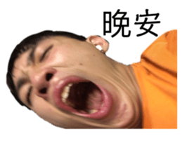 252826245