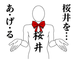 25290763