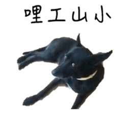 252935117