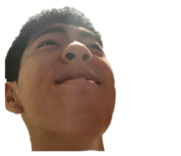 252960845