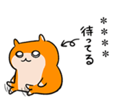 252977702