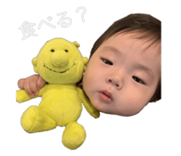 252979036