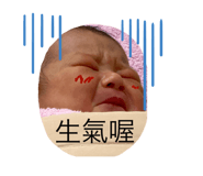 253031077