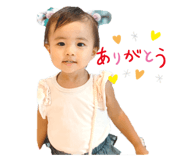 253049102