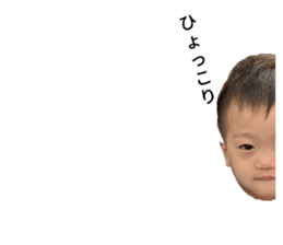 253059774