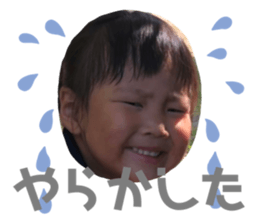 253136118