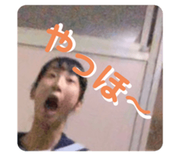 253185195