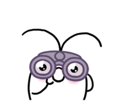 253188563
